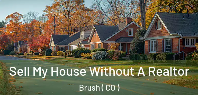  Sell My House Without A Realtor Brush ( CO )