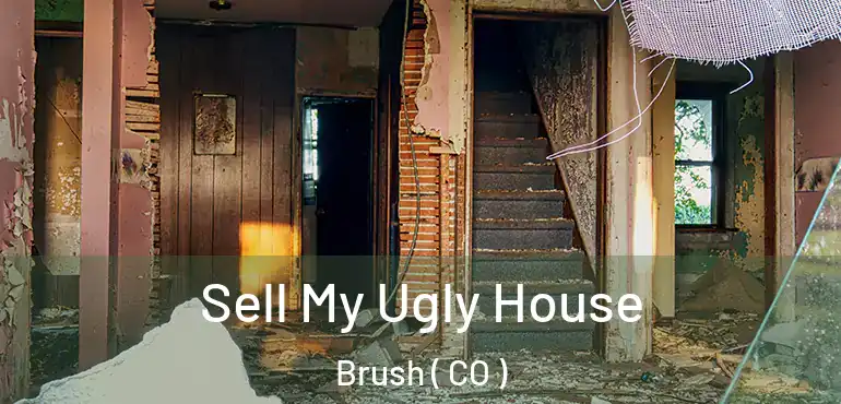  Sell My Ugly House Brush ( CO )