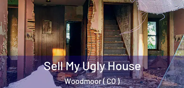  Sell My Ugly House Woodmoor ( CO )