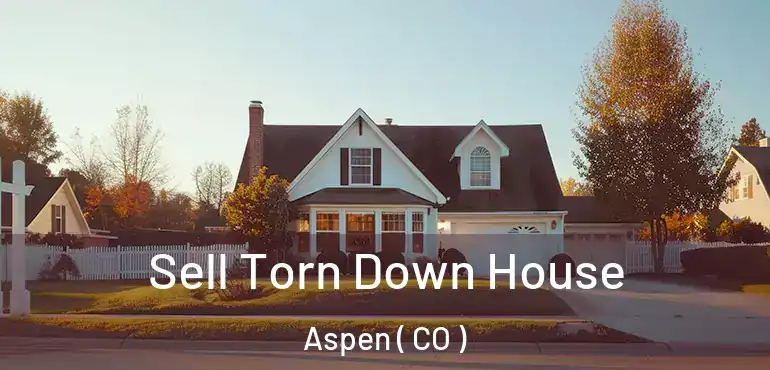  Sell Torn Down House Aspen ( CO )