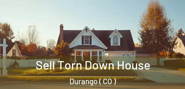  Sell Torn Down House Durango ( CO )