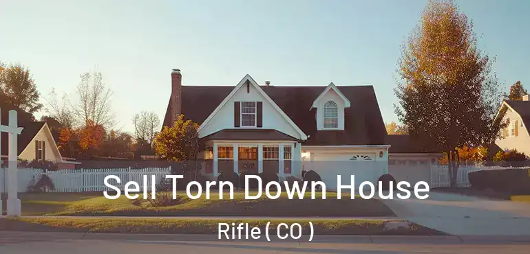  Sell Torn Down House Rifle ( CO )