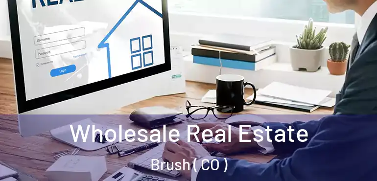  Wholesale Real Estate Brush ( CO )