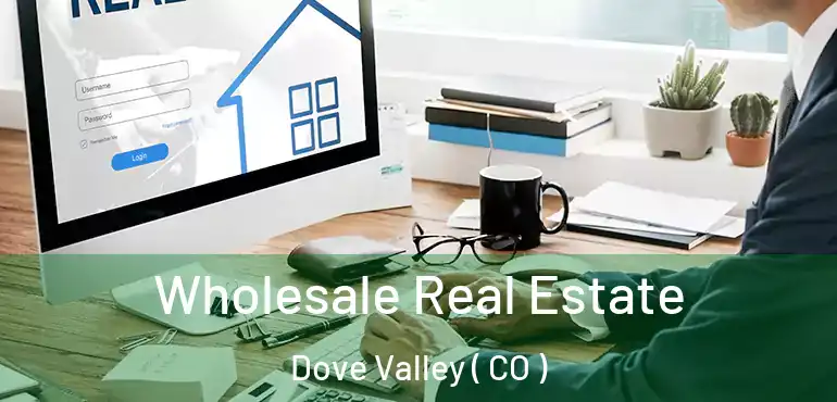 Wholesale Real Estate Dove Valley ( CO )
